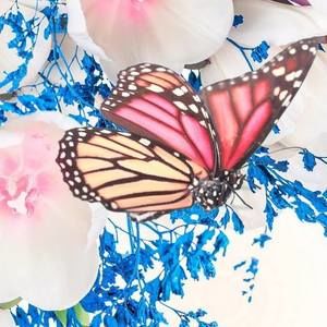 Meet your Posher, James n janet